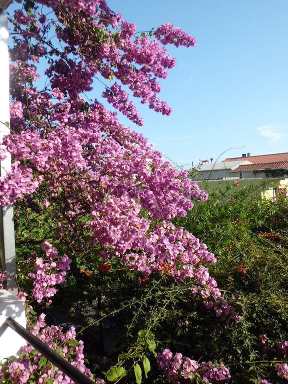 Apartments Viskovic Макарська Екстер'єр фото